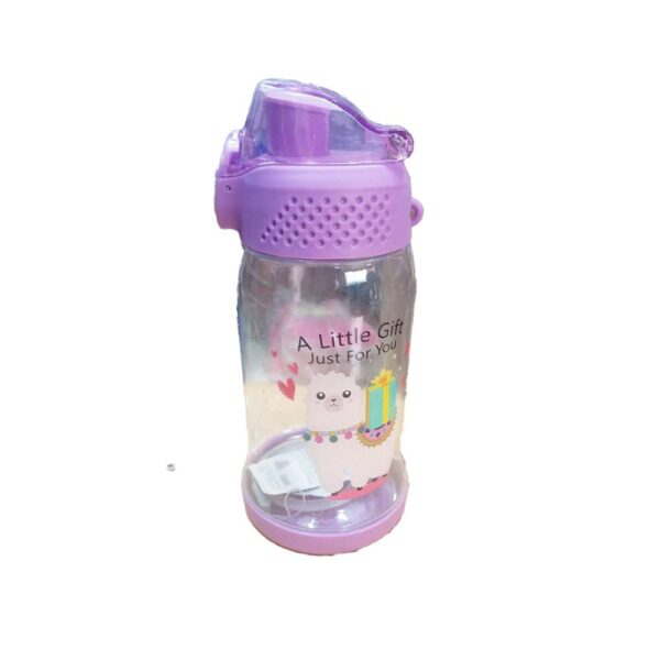 500 ML SMILE BOTTLE